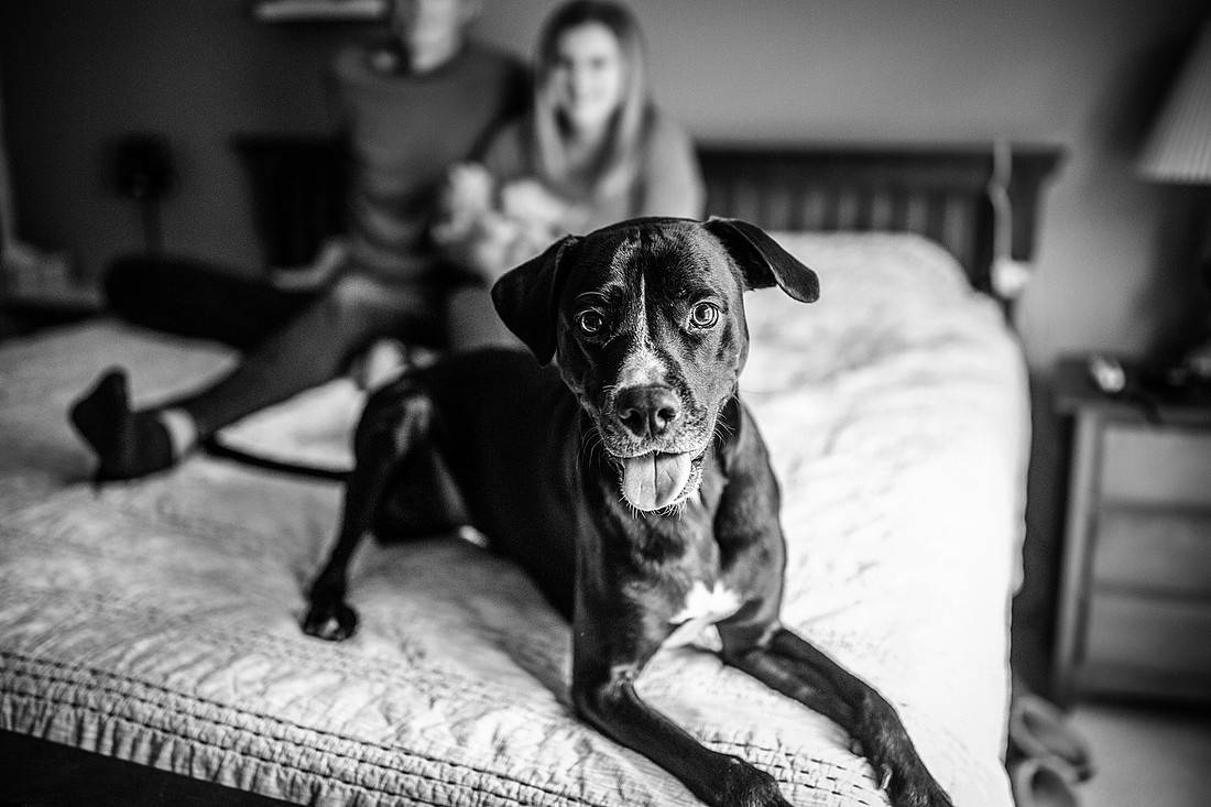 CQ2022_2n0114