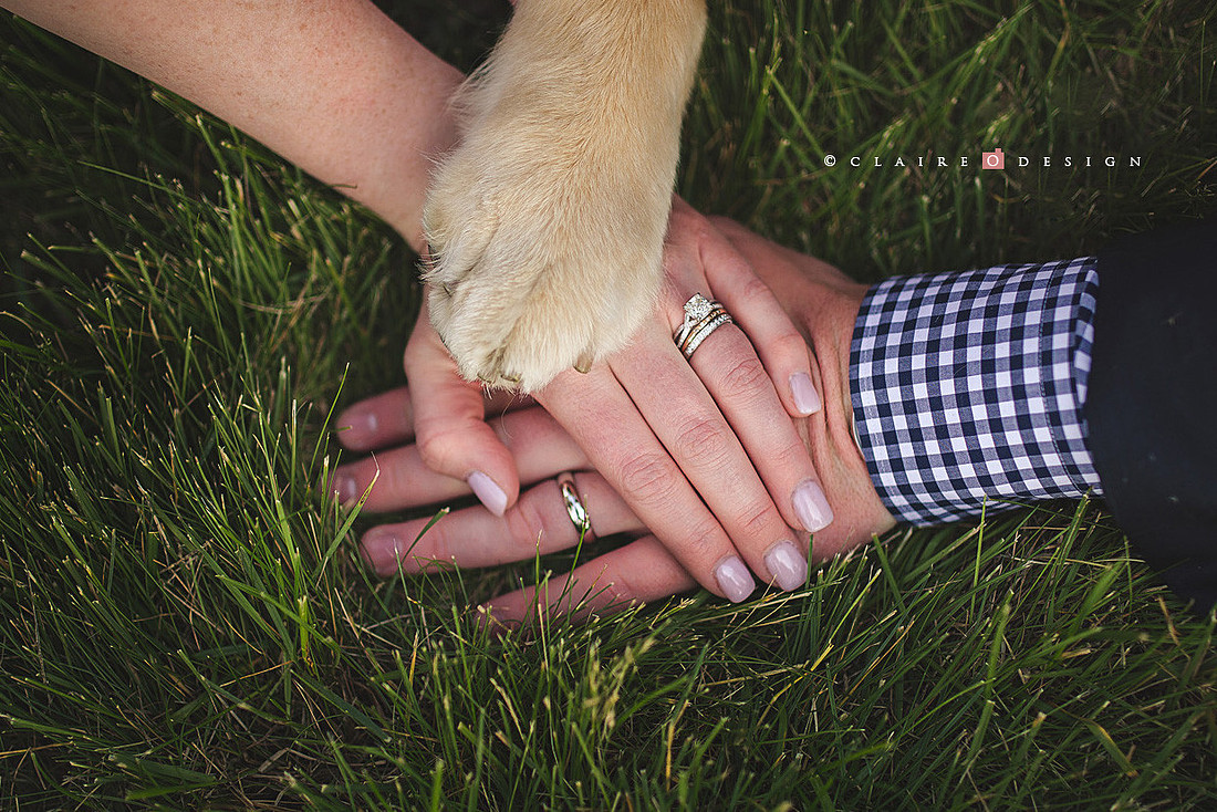 CO6_gc0051