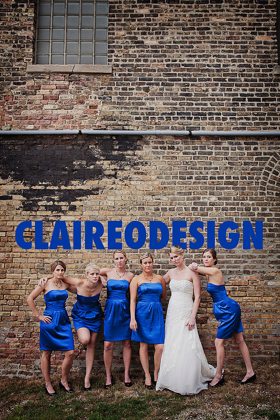 BRIDESMAIDS1