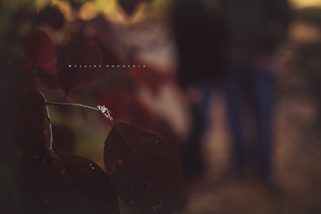 CO10_j0015