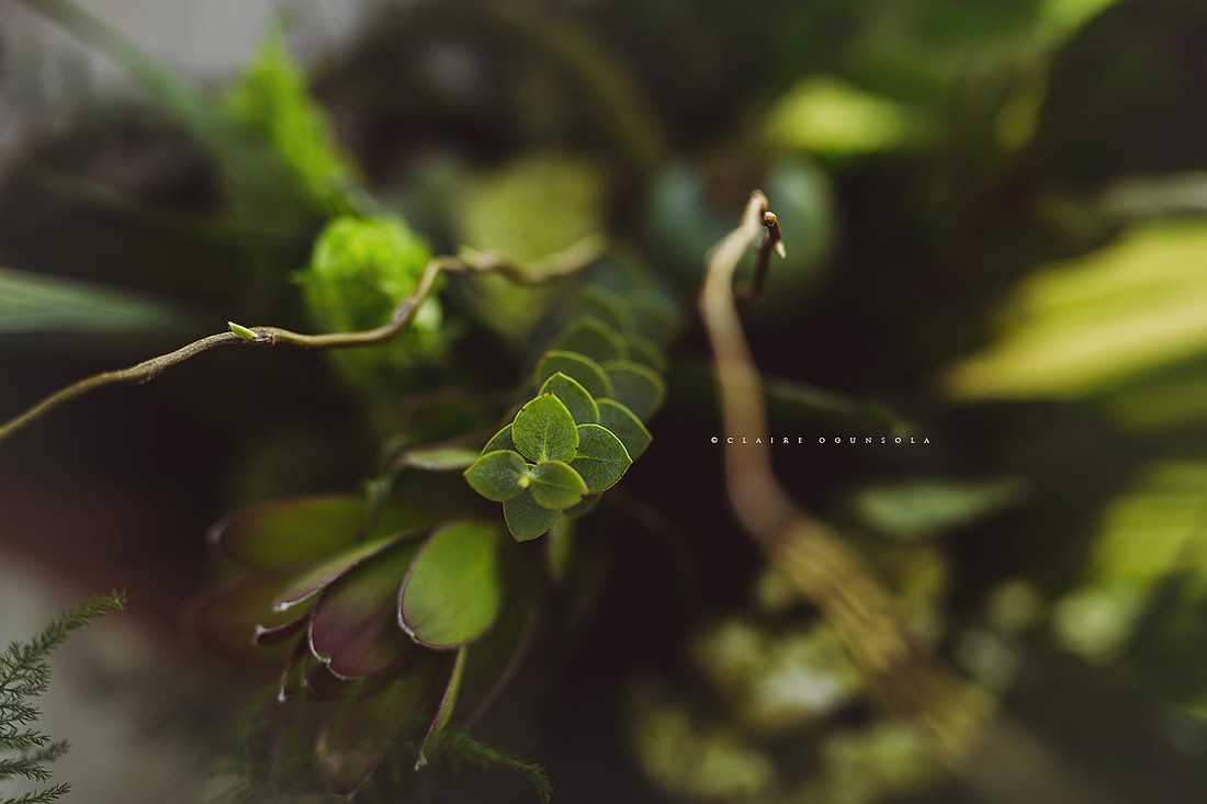 CO8_w049