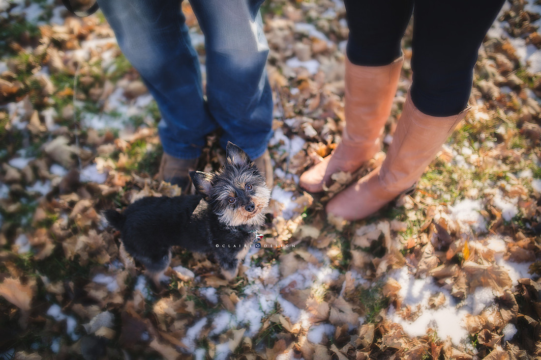 v10