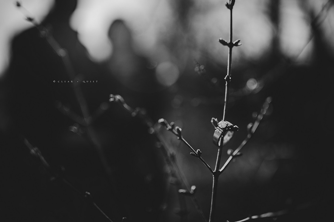 CO2_4316