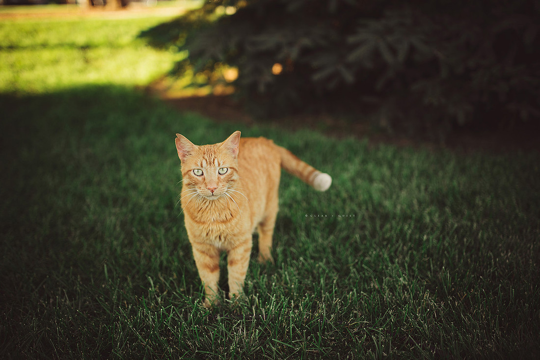 blog_CO6ca_0090
