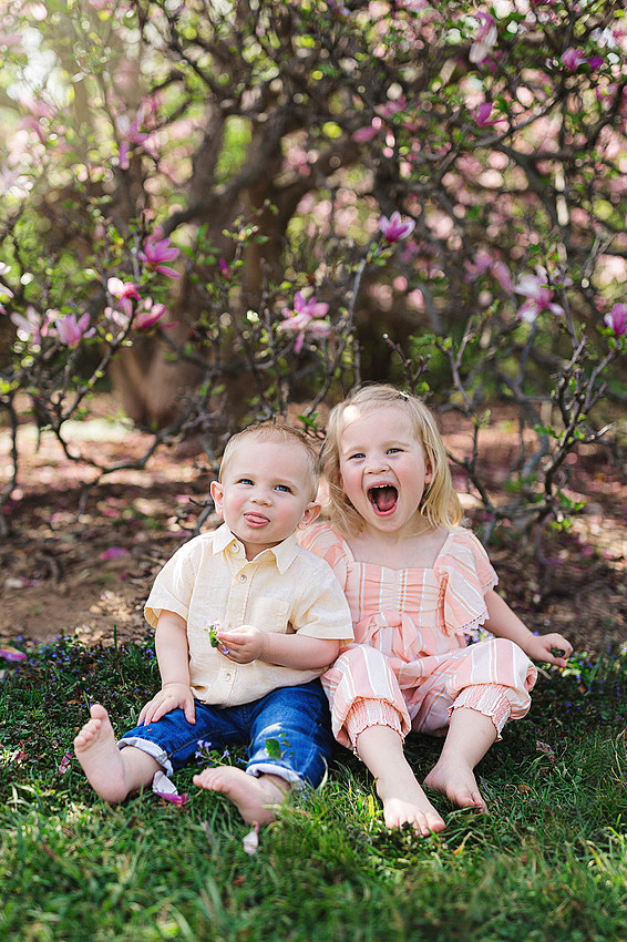 web_CQ2021_c0052