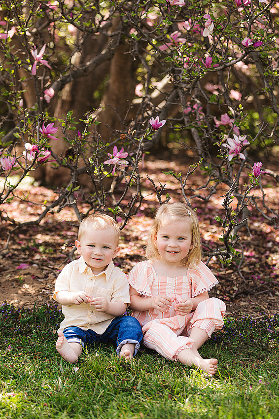 web_CQ2021_c0062