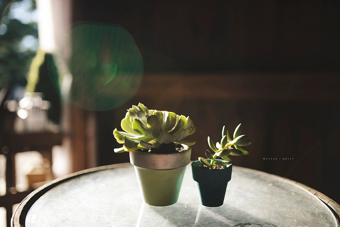 blog_CO7_kj0108