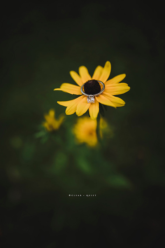CO2_3048