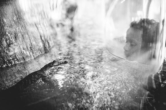 CO2_3146