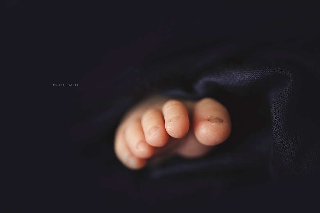 CO2_7256