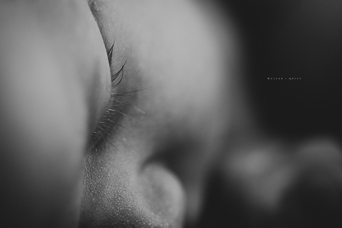 CO2_1542
