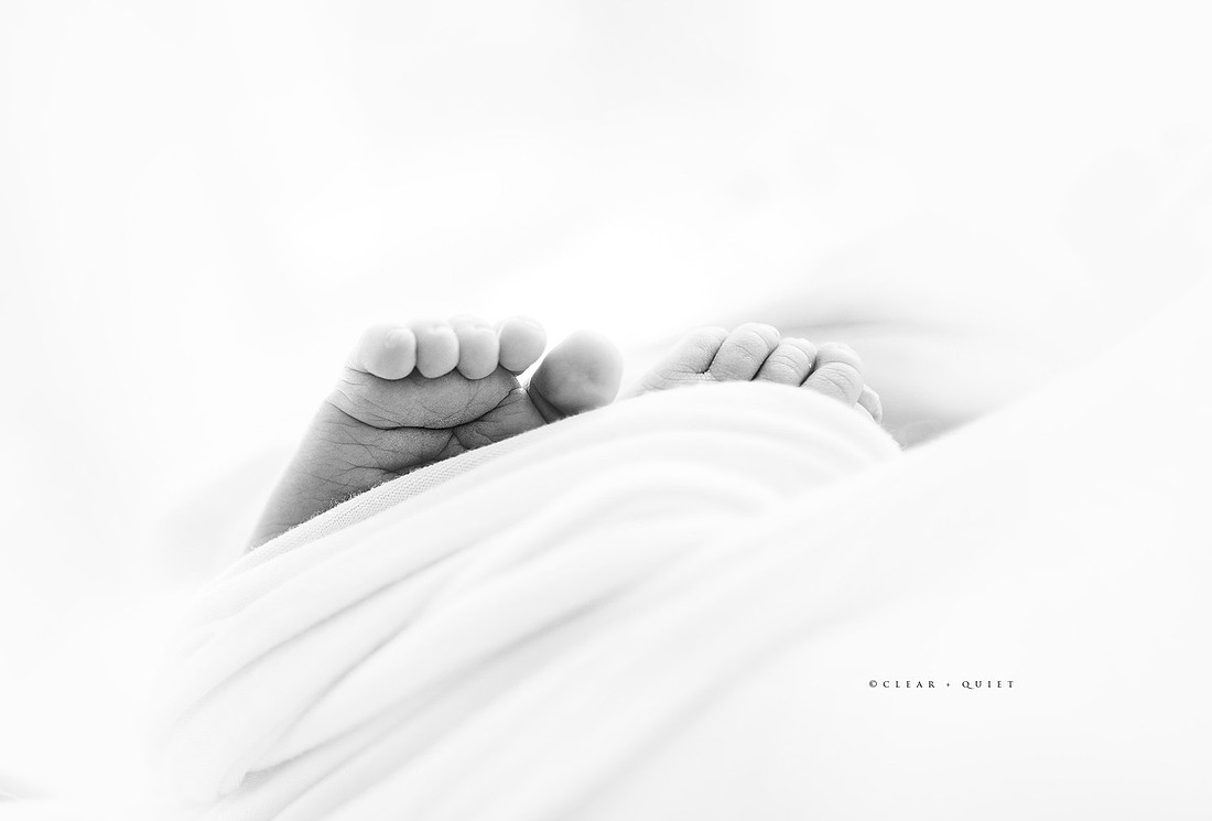 CO2_8242