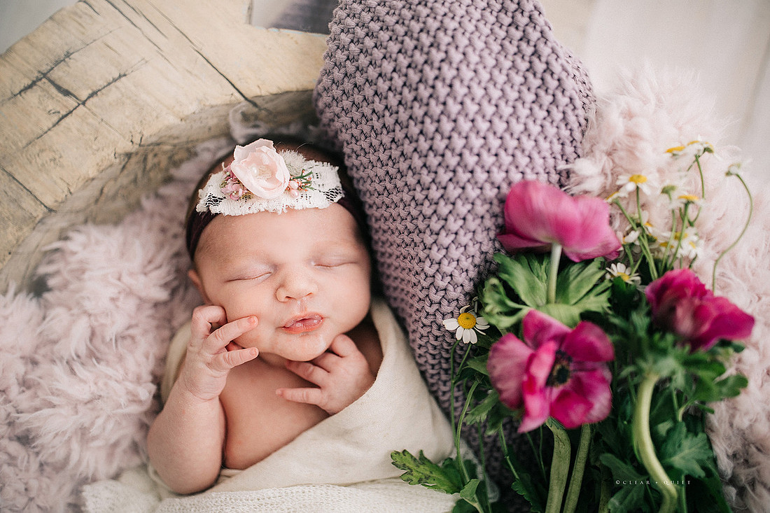 CO2_4411