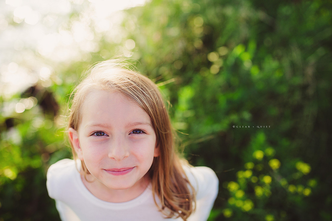 C11A2338