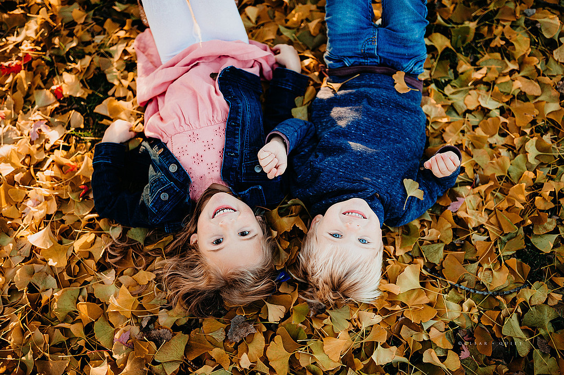 2019_10_d0055