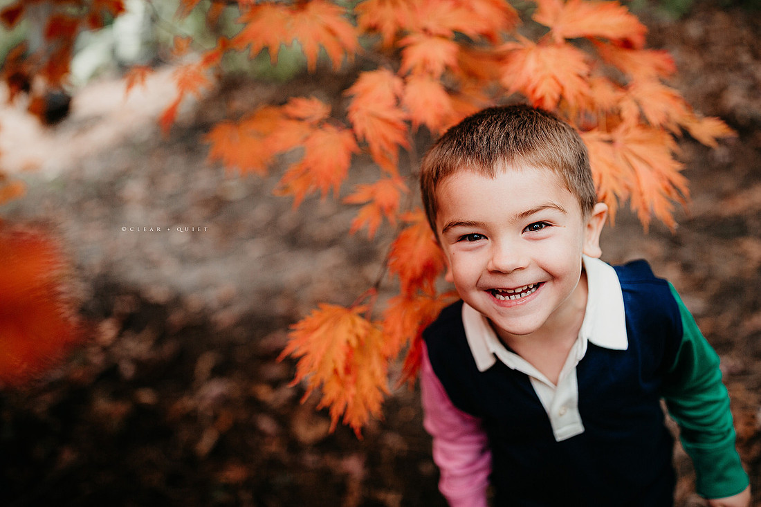 2019_10_c0026