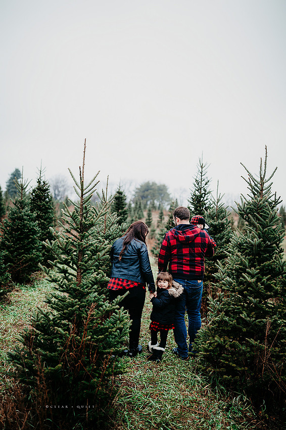 blog2019_CQ12h0019