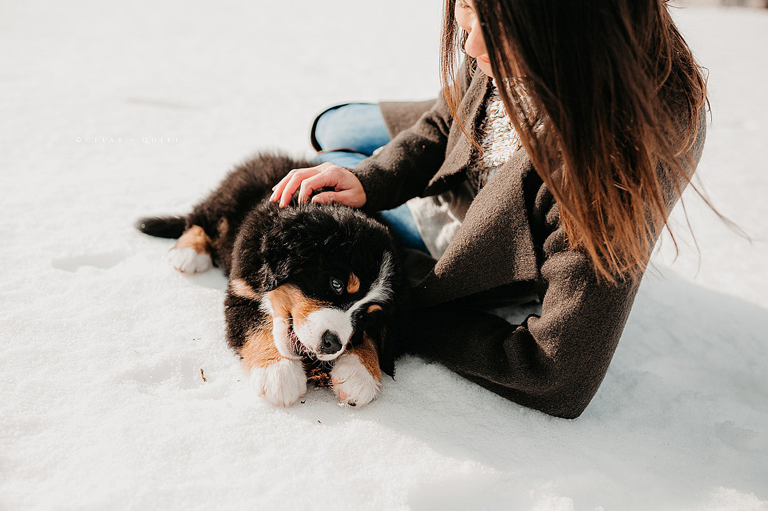 C11A5981
