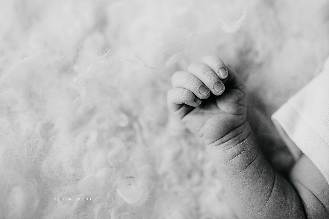 CO2_9870