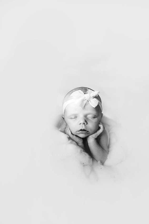 CO2_9929bw