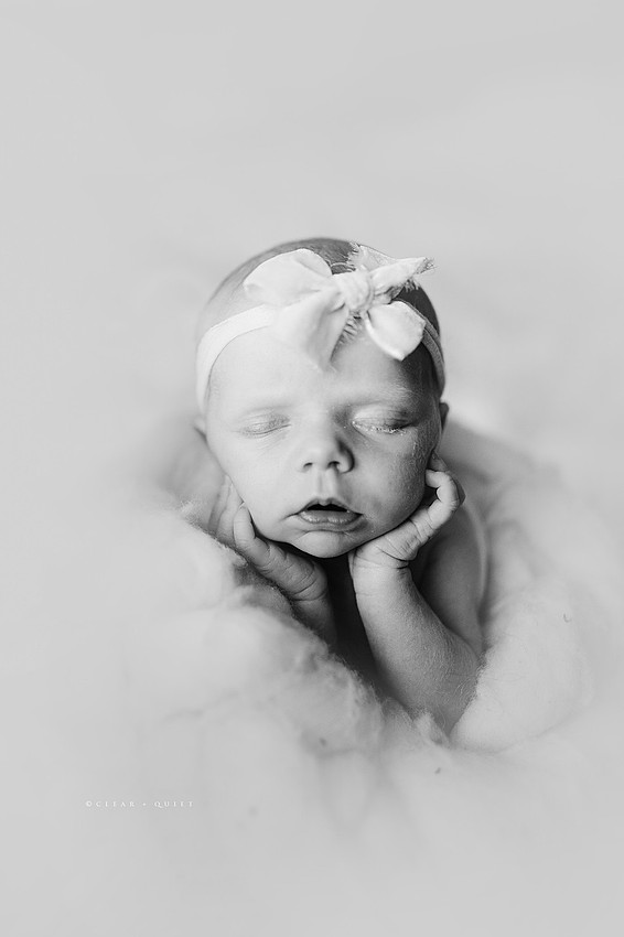 CO2_9934bw