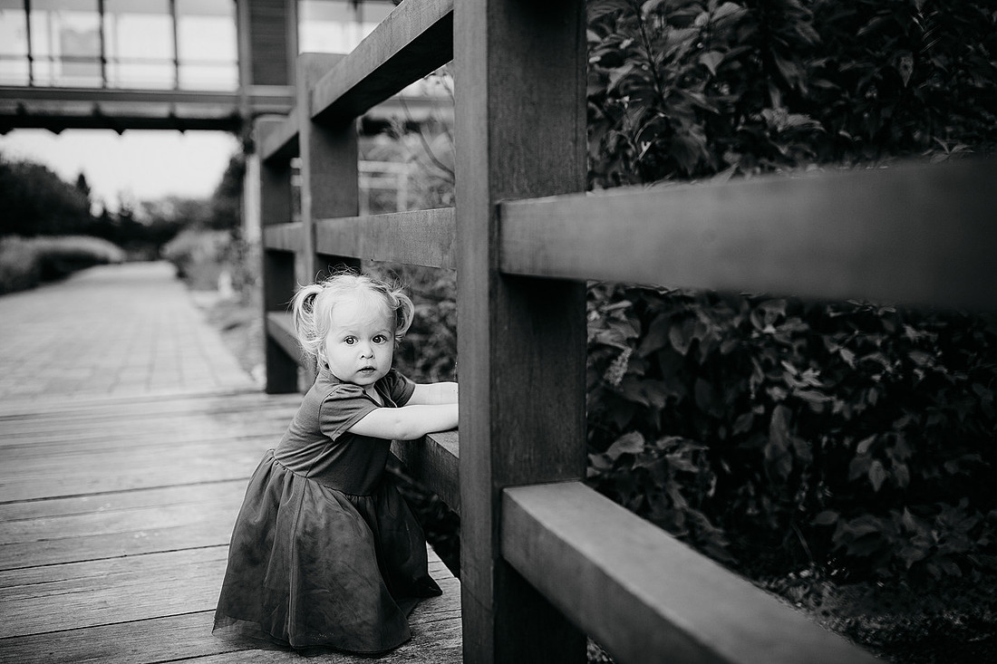 CQ2020_p0027