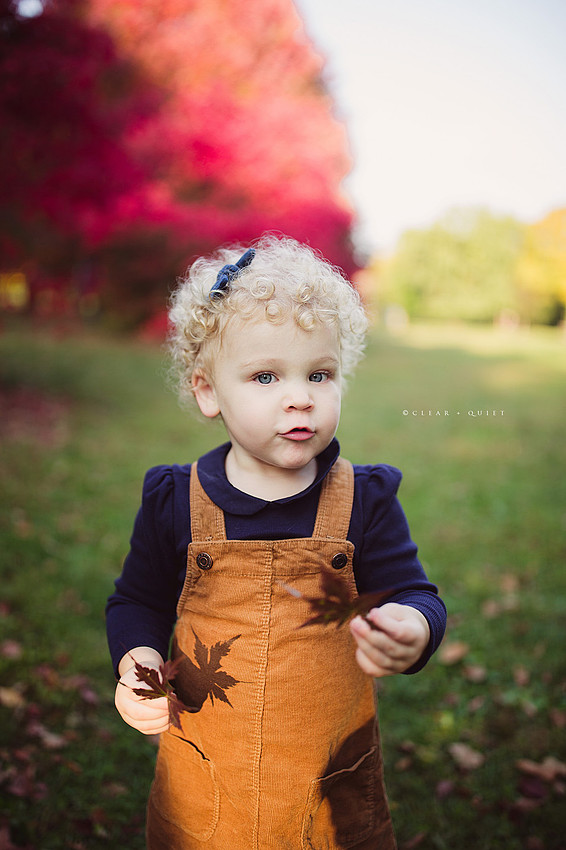CQ2020_d0060