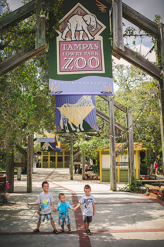 Florida_2_367