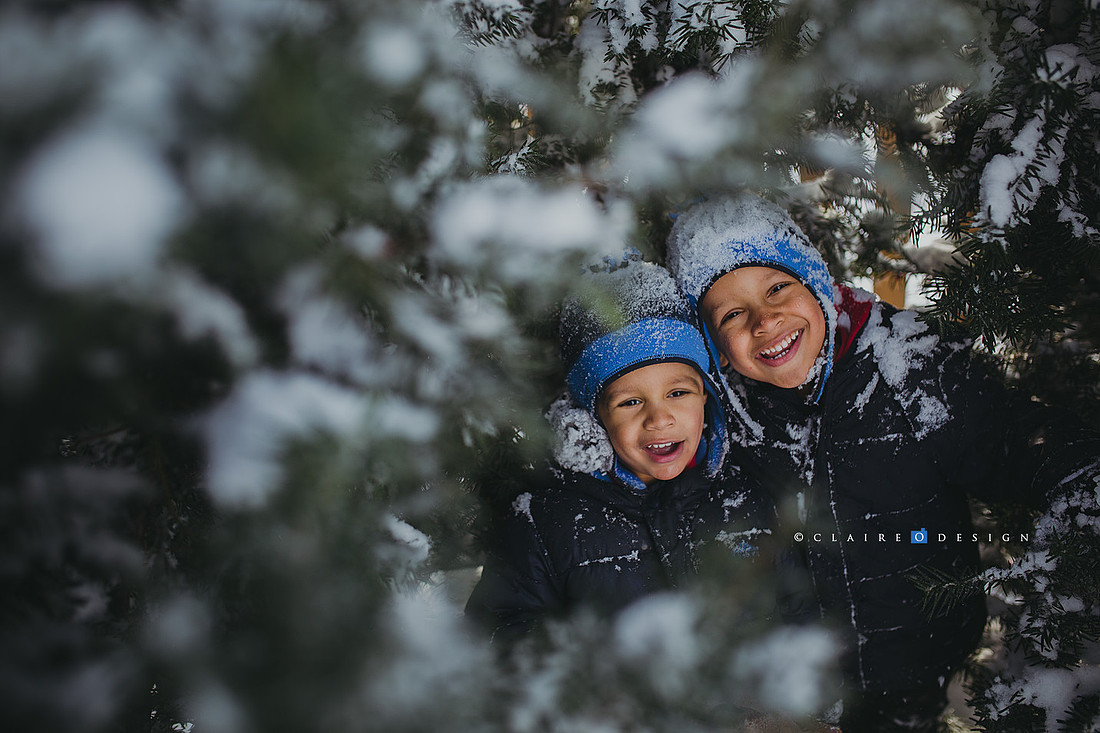 snow11