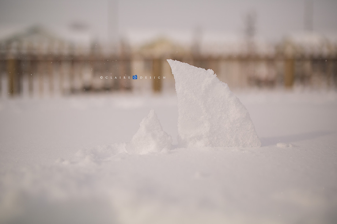snow1